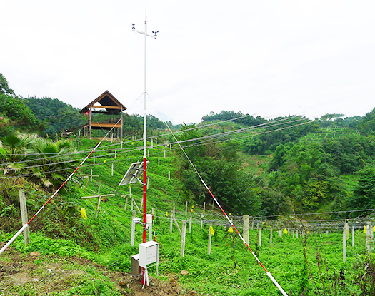 TWS-7型智能森林防火气象观测站