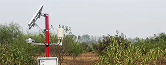 农业气象站应用于桃树种植现场