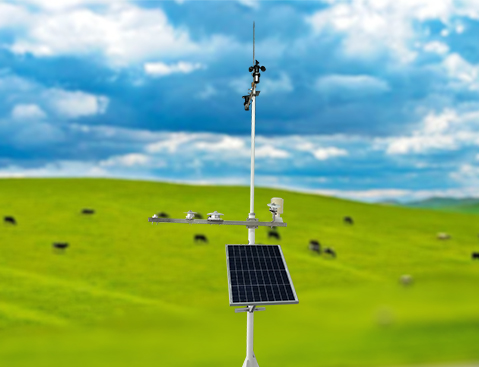TWS-WS5 草原生态环境监测系统 草原气象站